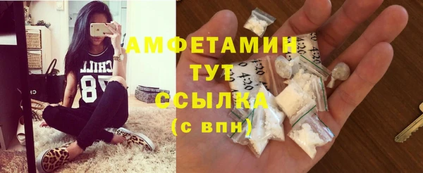 амф Инта